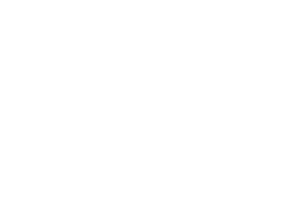 Instituto Ricardo Tanus